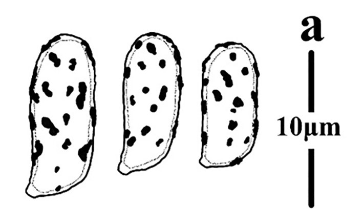 Figure 93